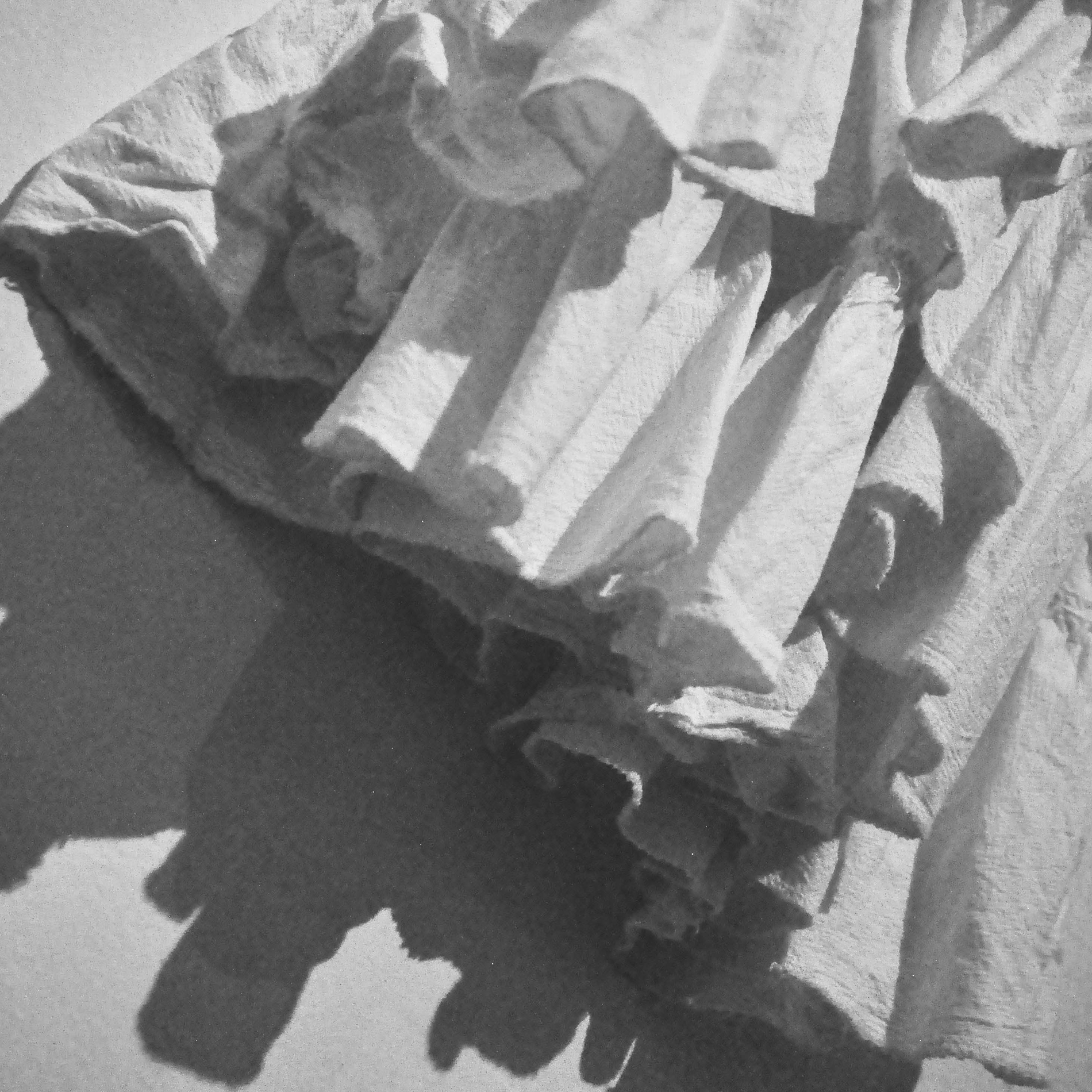 DESAPARECIENDO: contrarchivos de la desaparición